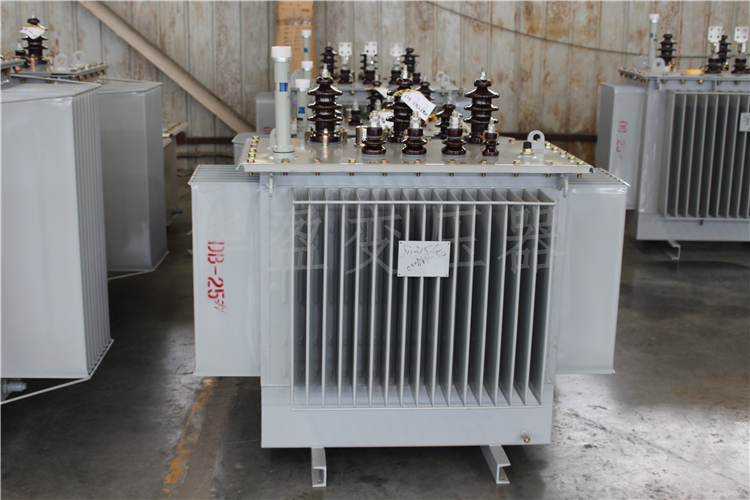 荆州S20-800kVA/10kV/0.4kV变压器